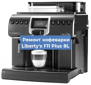 Замена прокладок на кофемашине Liberty's F11 Plus 8L в Новосибирске